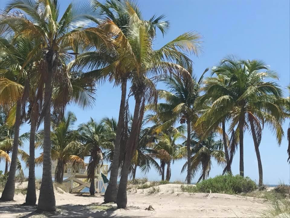 Coconut Love Hotel Miami Beach Exterior photo